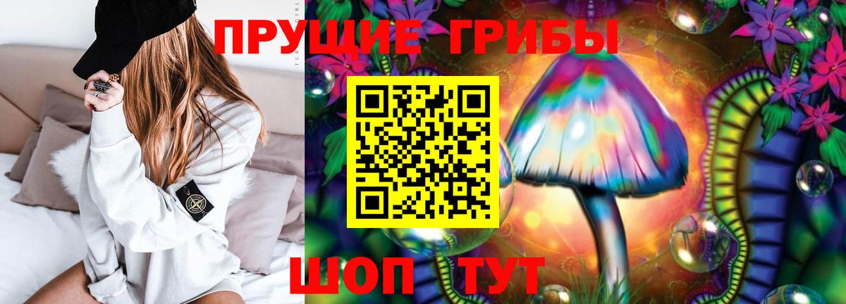 Псилоцибиновые грибы Psilocybe  Вход с VPN  Россошь 