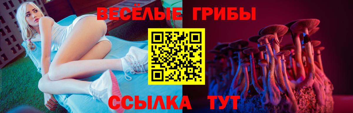 Псилоцибиновые грибы прущие грибы Россошь