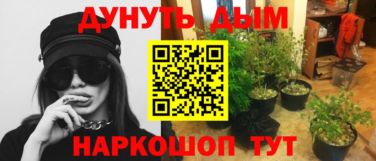 Марихуана SATIVA & INDICA  Канабис конопля  Россошь  Вход с VPN  Бошки Шишки план 